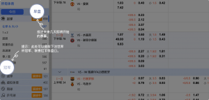 足球博彩:FB-SPORTS足球投注技巧和规则 5 投注未来几天即将开始的赛事。